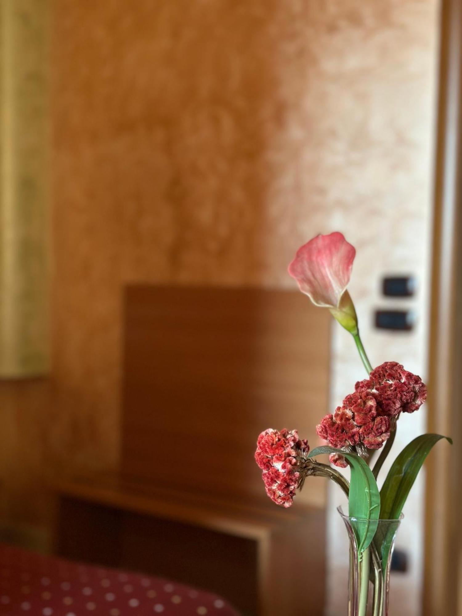 Hotel Il Giardino Degli Aranci Nola Ngoại thất bức ảnh